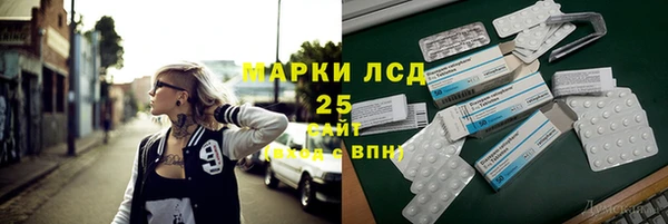 сатива Белокуриха