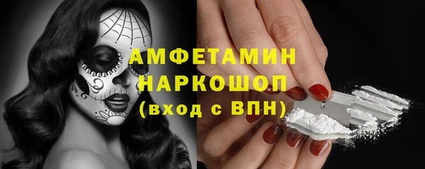 сатива Белокуриха