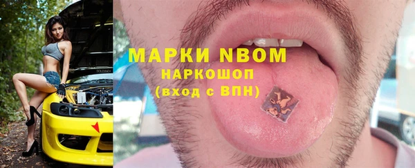 сатива Белокуриха