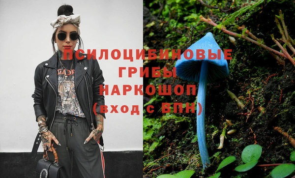 ALPHA PVP Беломорск