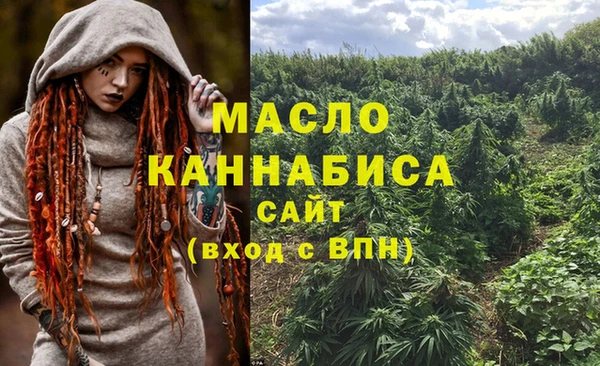 сатива Белокуриха
