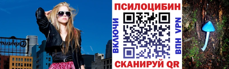 где продают   Елизаветинская  Псилоцибиновые грибы мухоморы 